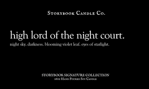 High Lord of The Night Court